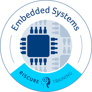 Embedded System Security